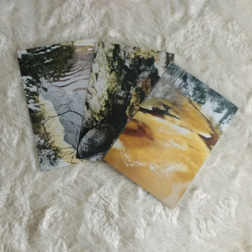 Set of 4 Original Canadian Winter Photographs Icy River Mossy Bark Nature Art - Picture 6 of 7